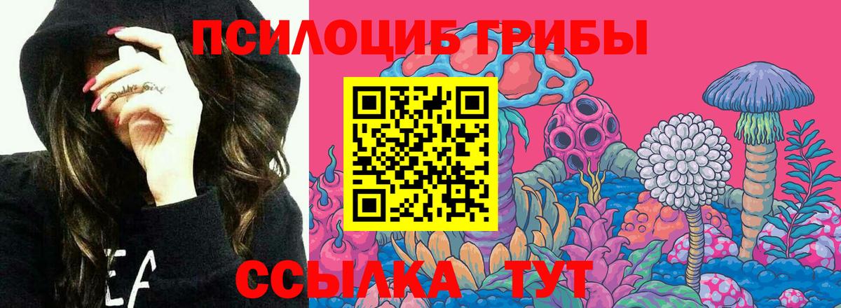 Карачаевск  Галлюциногенные грибы ЛСД  Вход с VPN  Галлюциногенные грибы Psilocybine cubensis 
